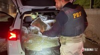 PRF e FICCO/PR apreendem mais de 250 quilos de droga e recuperam veículo furtado na BR-277 em Santa Terezinha de Itaipu