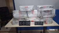 GTA e K9 da Guarda Municipal de Foz do Iguaçu prendem homem com 27,3 Kg de maconha