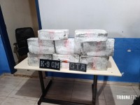 GTA e K9 da Guarda Municipal de Foz do Iguaçu prendem homem com 27,3 Kg de maconha