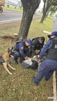 GTA e K9 da Guarda Municipal de Foz do Iguaçu prendem homem com 27,3 Kg de maconha