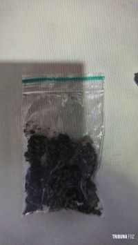 GTA da Guarda Municipal detém suspeito com maconha para consumo