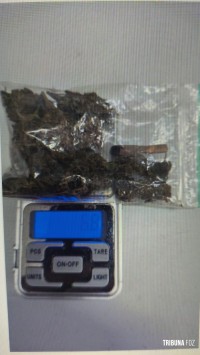 GTA da Guarda Municipal detém suspeito com maconha para consumo