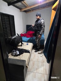 GAECO faz operação voltada a organização criminosa ligada ao tráfico de drogas em Matelândia, Medianeira e Santa Terezinha de Itaipu