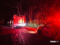 Duas pessoas morrem carbonizadas após veículo colidir contra uma arvore em Santa Terezinha de Itaipu