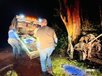 Duas pessoas morrem carbonizadas após veículo colidir contra uma arvore em Santa Terezinha de Itaipu