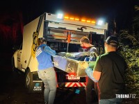 Duas pessoas morrem carbonizadas após veículo colidir contra uma arvore em Santa Terezinha de Itaipu