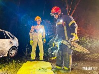 Duas pessoas morrem carbonizadas após veículo colidir contra uma arvore em Santa Terezinha de Itaipu