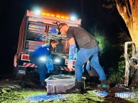 Duas pessoas morrem carbonizadas após veículo colidir contra uma arvore em Santa Terezinha de Itaipu