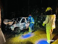 Duas pessoas morrem carbonizadas após veículo colidir contra uma arvore em Santa Terezinha de Itaipu