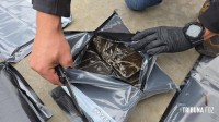SENAD intercepta jatinho particular vindo dos Estados Unidos com 261 quilos de maconha premium no Paraguai