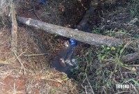 Carpinteiro é encontrado morto a tiros em San Alberto no Paraguai