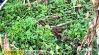 Empresário é socorrido em estado gravíssimo após sofrer duas facadas em Santa Helena