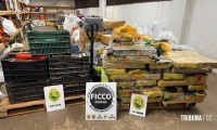 Ação integrada apreende mais de uma tonelada de maconha no bairro Três Lagoas em Foz do Iguaçu