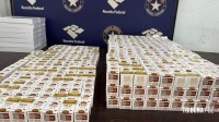 Receita Federal apreende medicamentos emagrecedores avaliados em R$ 330 mil na Ponte da Amizade