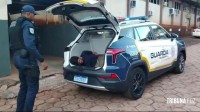 Guarda Municipal prende ladrão de fio no centro de Foz do Iguaçu