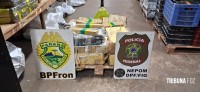 BPFRON e Polícia Federal apreendem 141,5 Kg de maconha em Foz do Iguaçu