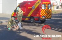 Motociclista fica ferido após atropelar cachorro e colidir contra carro na região da Vila A