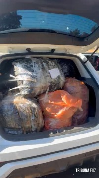 PRF recupera veículo roubado carregado com drogas e prende traficante após buscas na BR-277, em Céu Azul