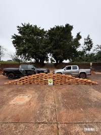 BPFRON apreende 1.212 Kg de maconha e recupera veículo roubado em Santa Helena