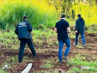 Corpo de homem já em putrefação é encontrado em área de mata no Parque Monjolo