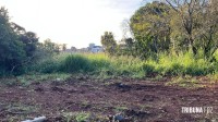 Corpo de homem já em putrefação é encontrado em área de mata no Parque Monjolo