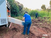 Corpo de homem já em putrefação é encontrado em área de mata no Parque Monjolo