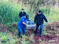 Corpo de homem já em putrefação é encontrado em área de mata no Parque Monjolo