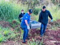 Corpo de homem já em putrefação é encontrado em área de mata no Parque Monjolo