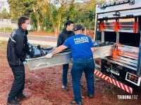 Corpo de homem já em putrefação é encontrado em área de mata no Parque Monjolo