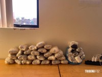 PF e PM apreende haxixe marroquino e maconha tipo capulho em Foz do Iguaçu