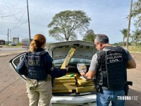 PRF e Polícia Civil apreendem quase 400 quilos de maconha em veículo durante fiscalização na BR-277 em Santa Terezinha de Itaipu
