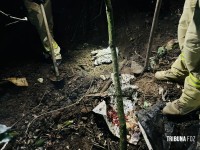 Denúncia de corpo enterrado mobiliza PM e o Corpo de Bombeiros no Jardim Jupira