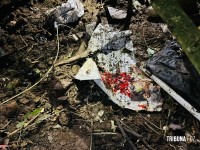 Denúncia de corpo enterrado mobiliza PM e o Corpo de Bombeiros no Jardim Jupira