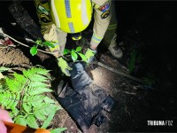 Denúncia de corpo enterrado mobiliza PM e o Corpo de Bombeiros no Jardim Jupira