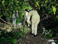 Denúncia de corpo enterrado mobiliza PM e o Corpo de Bombeiros no Jardim Jupira