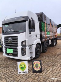 BPFRON e PF prendem caminhoneiro com 550 Kg de maconha em Santo Antônio do Sudoeste