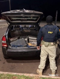 PRF apreende 150 quilos de maconha durante fiscalização na BR-277, em Santa Terezinha de Itaipu