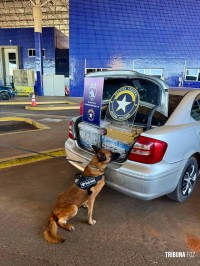 Receita Federal apreende veículo carregado com maconha na Aduana da Ponte Internacional da Amizade