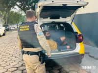 Discussão por venda de um pão termina com homem agredido a pedradas no Portal da Foz