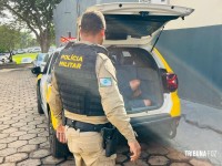 Discussão por venda de um pão termina com homem agredido a pedradas no Portal da Foz