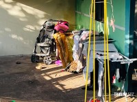 Onça Pintada é encontrada descansando embaixo de varal em Foz do Iguaçu