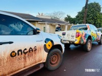 Onça Pintada é encontrada descansando embaixo de varal em Foz do Iguaçu