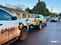 Onça Pintada é encontrada descansando embaixo de varal em Foz do Iguaçu