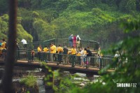 Parque Nacional do Iguaçu registra o maior semestre da história em visitação 