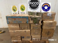 Ação integrada apreende 721,2 quilos de maconha na BR-277 em Foz do Iguaçu