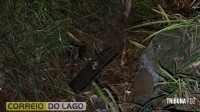 Carro fica destruído após capotamento em Santa Helena Carro fica destruído após capotamento em Santa Helena