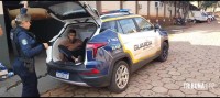 Guarda Municipal prende homem com mandado de prisão no centro de Foz do Iguaçu