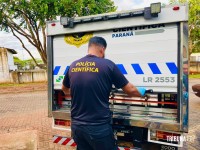 Homem baleado dentro da BMW blindada não resiste aos ferimentos e morre no Hospital Municipal 