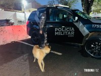 População ajuda PM e arma é encontrada escondida em meio a entulho em Foz do Iguaçu