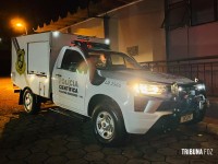 Motociclista de 72 anos morre após atingir cachorro na PR-495 em Serranópolis do Iguaçu 